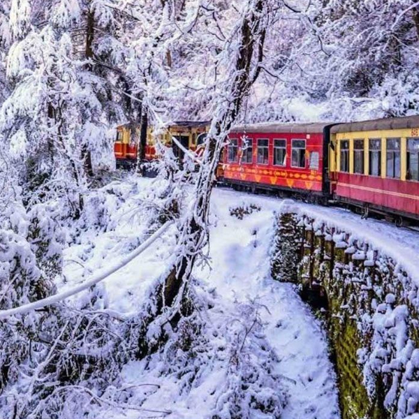 SHIMLA SPECIAL TOUR (1).jpg
